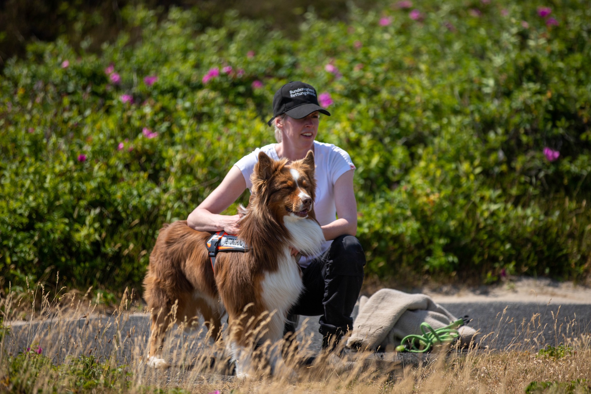 Sabrina Willig mit Ihrem Australian Shepherd Fiete, Vorprüfung Flächensuche bestanden